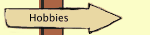 Hobbies